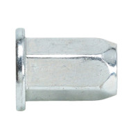 Гайка клепальна 6гр. з пл. бурт. оцинкована